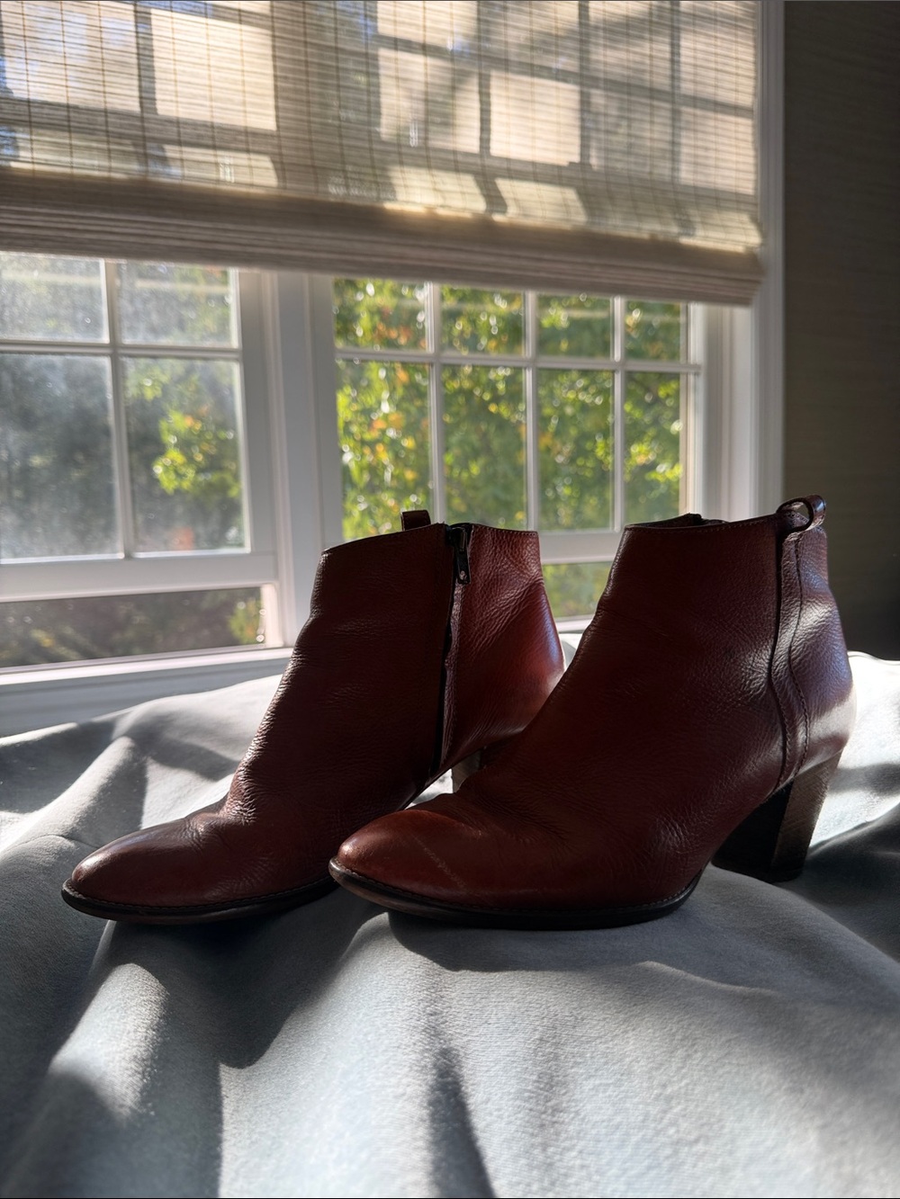 Madewell Women's Ankle Boots in Deep Burgundy Leather